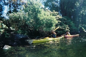 River Cleanup