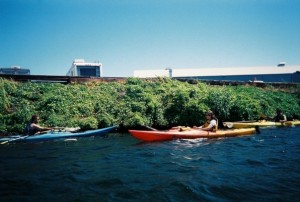River Cleanup