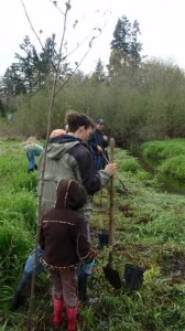 Tree Planting