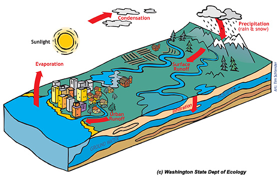 watershed-cycle
