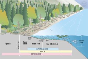 AccretingBeach - from King County