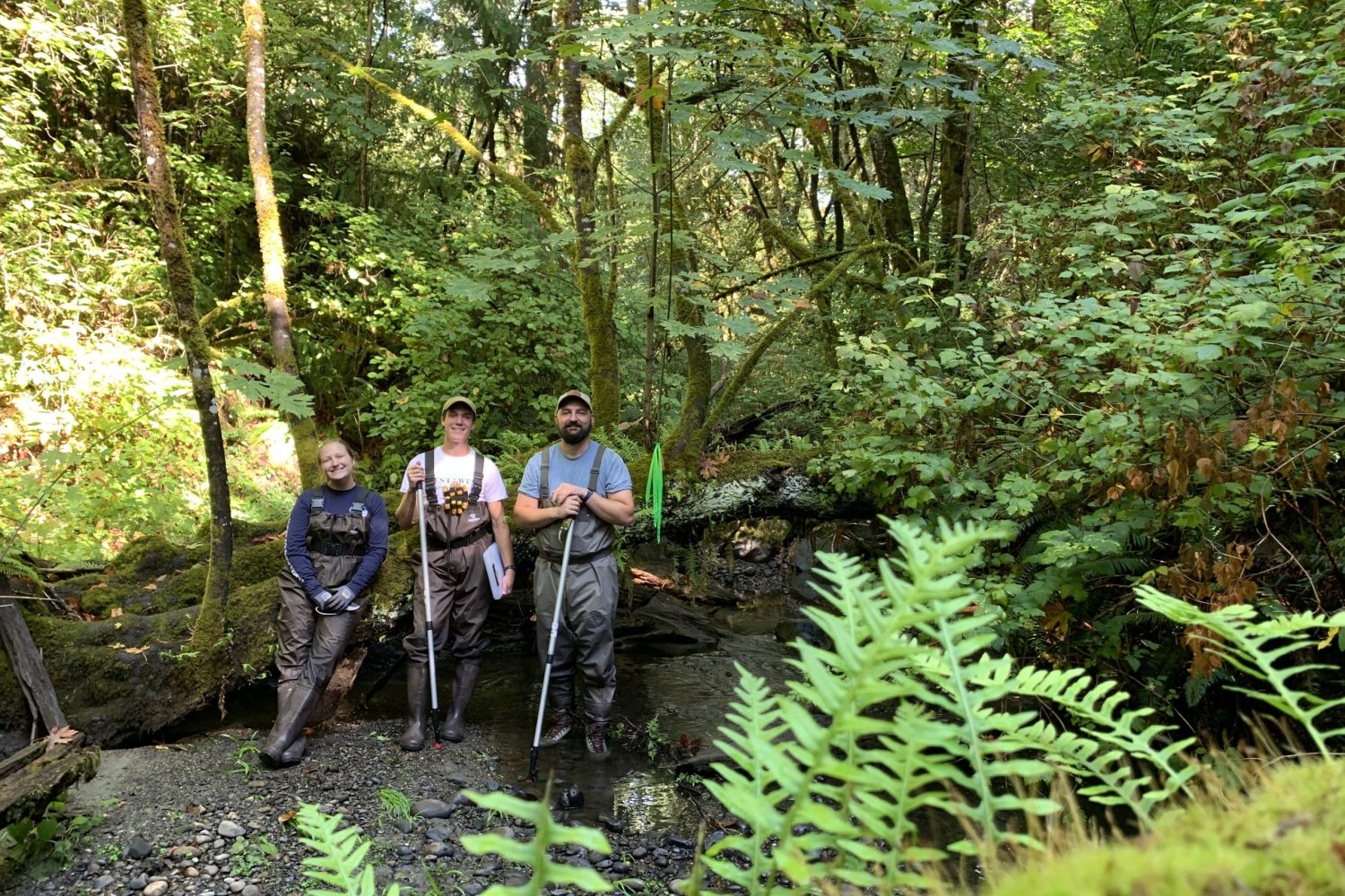 CSI Salmon Survey 1