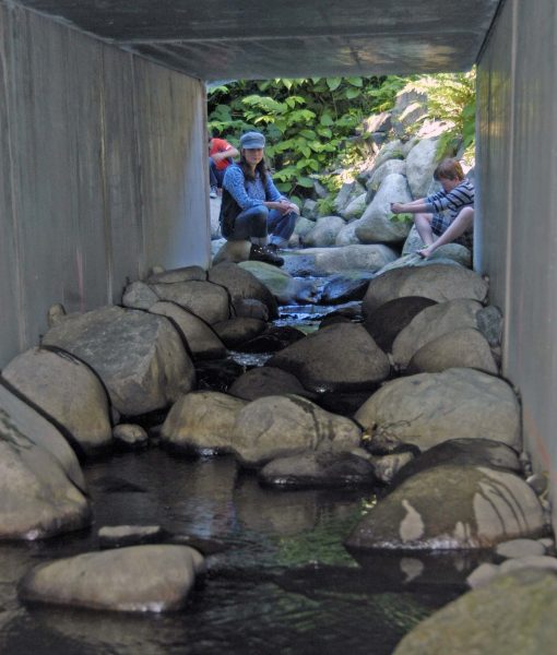 DSC_1262_Littlebrook_Ck_culvert_tour_6-13-2013_M