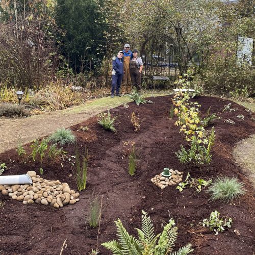 Hannah-RainGarden-2