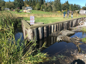 bulkhead and stream SE corner