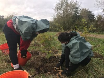 rainy planting 2 gals web